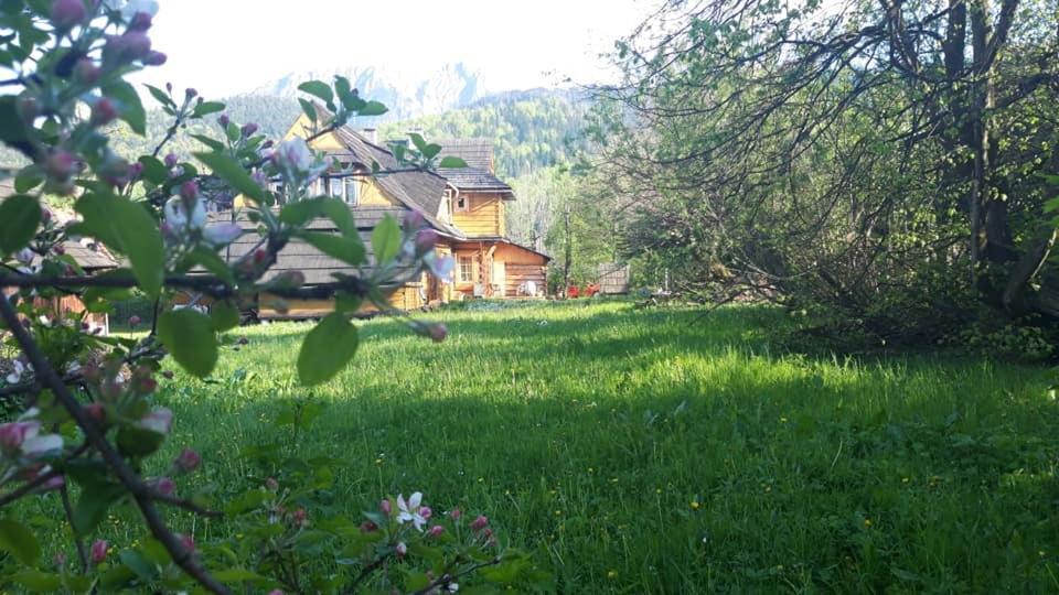 Kwatery Prywatne-Romanowka Zakopane Bagian luar foto