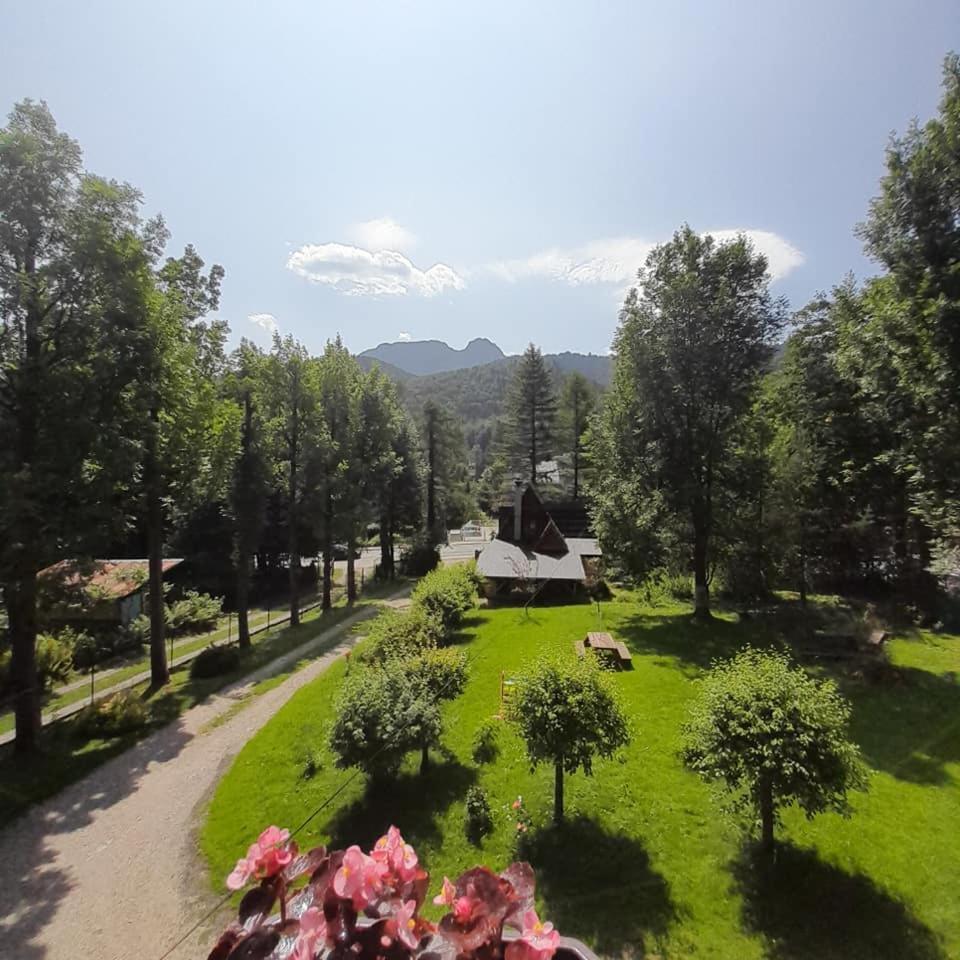 Kwatery Prywatne-Romanowka Zakopane Bagian luar foto