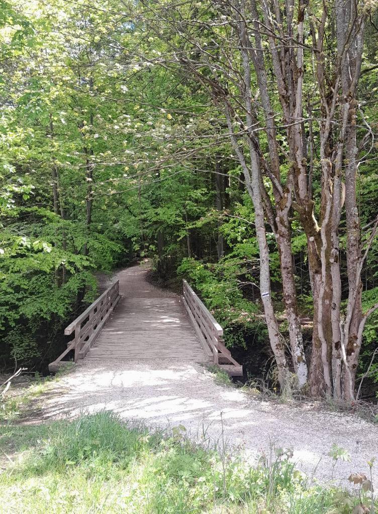 Kwatery Prywatne-Romanowka Zakopane Bagian luar foto
