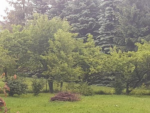 Kwatery Prywatne-Romanowka Zakopane Bagian luar foto