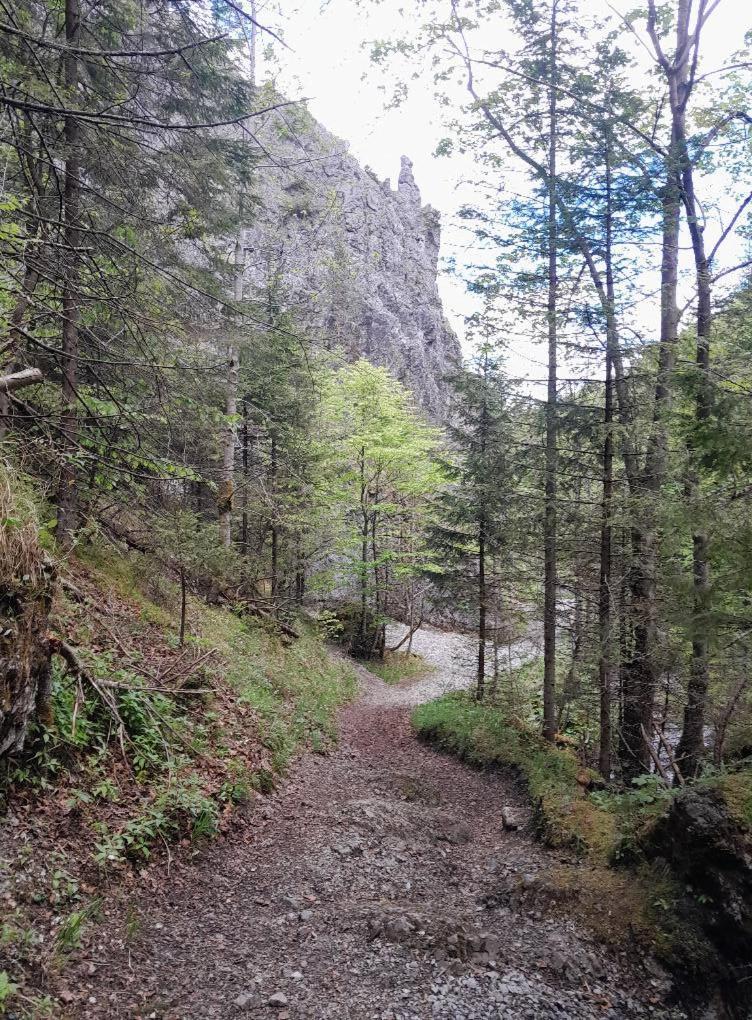 Kwatery Prywatne-Romanowka Zakopane Bagian luar foto