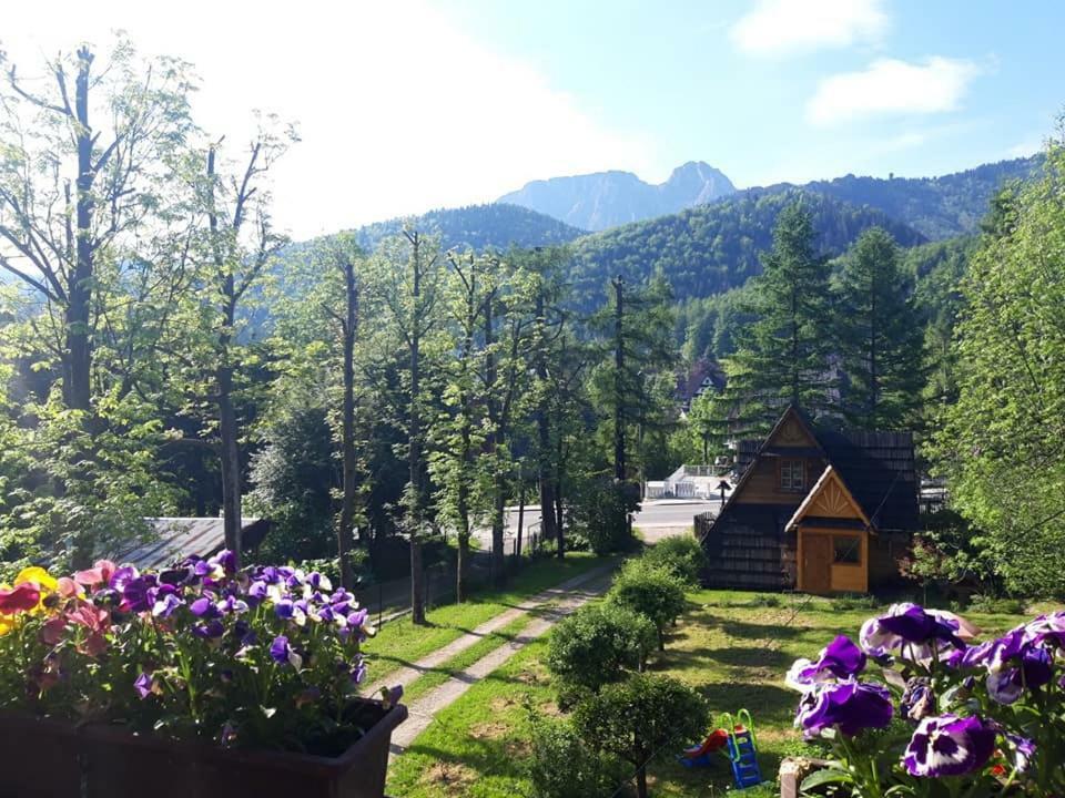 Kwatery Prywatne-Romanowka Zakopane Bagian luar foto