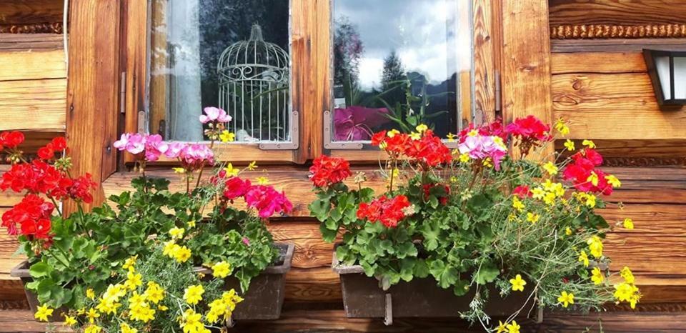 Kwatery Prywatne-Romanowka Zakopane Bagian luar foto
